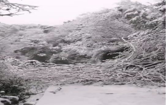 战暴雪、保供电！线上买球官网（中国）官方网站鸟儿巢公司应对极端天气紧急抢修失电故障