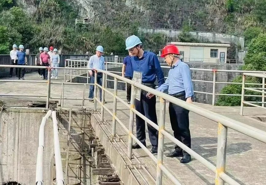 省国资委二级巡视员戴雪峰一行莅临线上买球官网（中国）官方网站鸟儿巢公司开展防汛安全督查